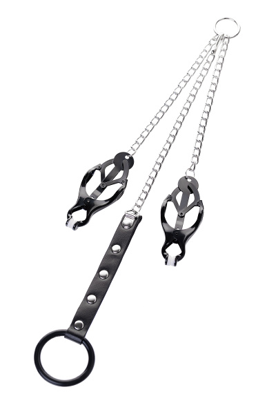 Зажимы для сосков с кольцом для пениса, TOYFA Metal, 