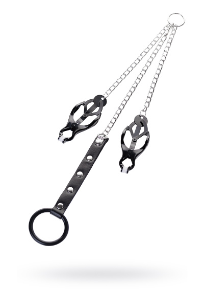 Зажимы для сосков с кольцом для пениса, TOYFA Metal, 